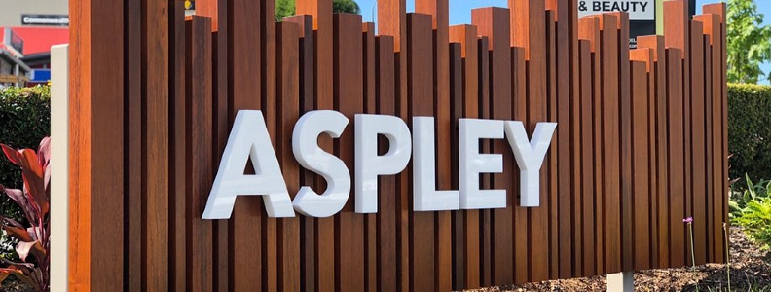 Aspley Village Precinct Project – Cr Tracy Davis